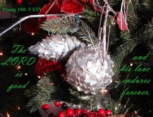 DSC02037crop2_Ps100-5_500x383