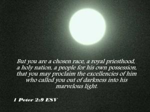 dsc02296_1pet2-9_560x270