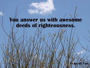 DSC02530ps65-5_560x420