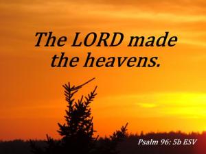 DSC02694Ps96-5_560x420