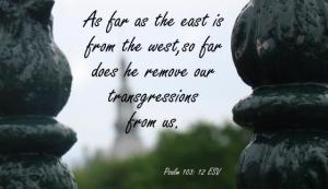 DSC03212Ps103-12_560x322