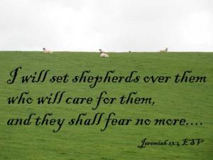 DSC03424Jer23-4_560x420