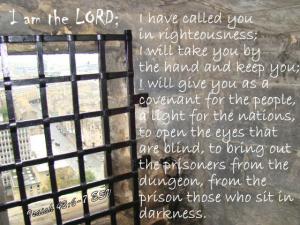 DSC03514Is426-7_560x420