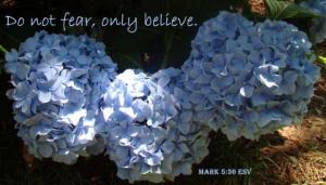 DSC04062Mark5-36_560x320