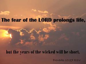 DSC04300Prov10-27_560x420