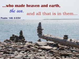 DSC04445Ps146-6_560x420