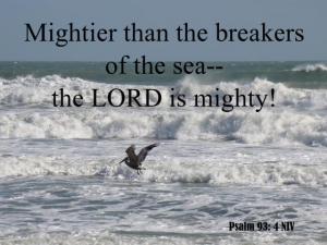 DSC04529Ps93-4_560x420