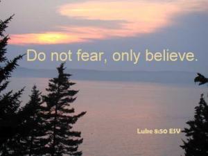 DSC04946Luke8-50_560x420