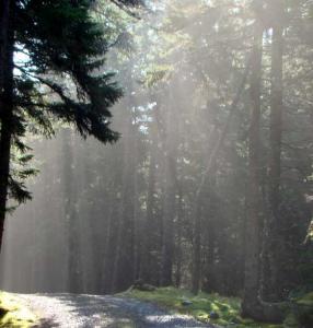 DSC04960turncrop560x587