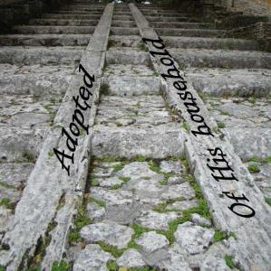 DSC05255Adopted560x561