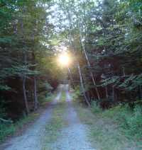 DSC05378_crop200X212