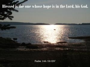 DSC05398Ps146-5_560x420