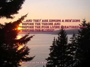 DSC05410Rev14-3_560x420