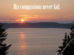 DSC05415Lam3-22_560x420