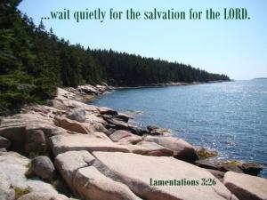 DSC05447Lam3-26_560x420