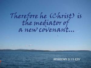 DSC05496Heb9-15_560x420