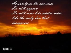 DSC05528Hosea6-3_560x420