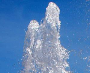 DSC05648_crop2_500x407