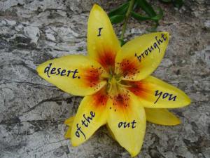 DSC05689Mic6-4_560x420