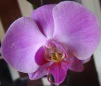 DSC05698_crop_200X170