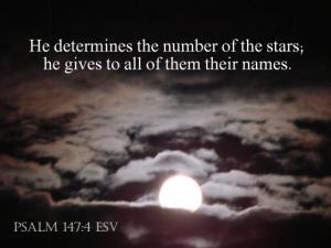 DSC05819Ps147-4_560x420