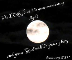 dsc05820is60-19_560x433