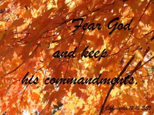 DSC05832Ecc12-13_560x420