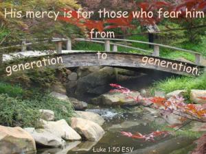 DSC06029Luke1-50_560x420