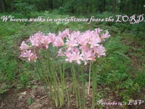 DSC06071Prov14-2_560x420