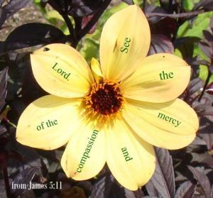 DSC06114James5-11_560x520