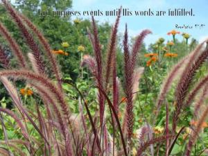 DSC06116Rev17-17_560x420