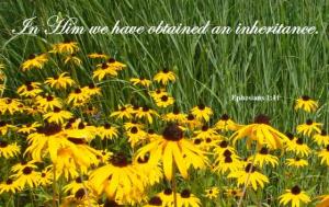 DSC06120cropEph1-11_560x353