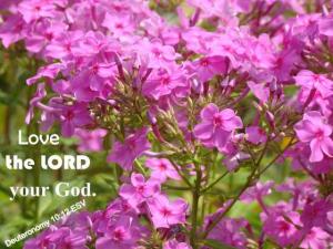 DSC06135Deut10-12_560x420