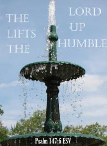 DSC06140cropPs147-6_300x406