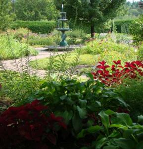 DSC06144strtcrop560x581