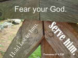 DSC06169Deut13-4_560x420