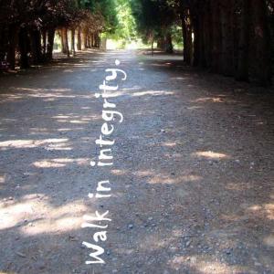 DSC06206Ps26-11_560x560