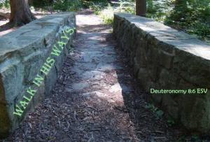 DSC06233Deut8-6_560x386