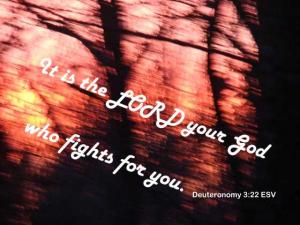 DSC06371Deut3-22_560x420