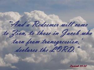 DSC06375Is59-20_560x420