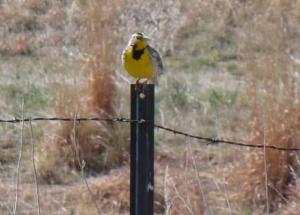 DSC06380crop2_560x402