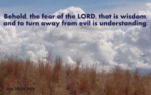 DSC06389Job28-28_560x382