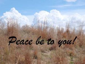 DSC06390Peace560x420