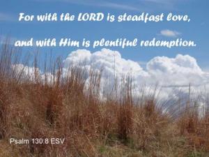 DSC06392Ps130-8_560x420