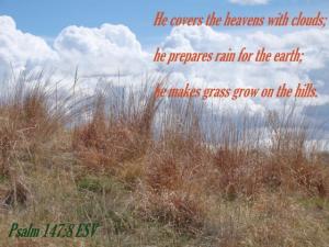 DSC06393Ps147-8_560x420