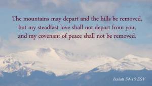 DSC06395Is54-10_560x319