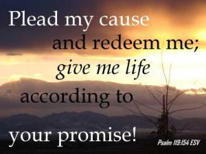 DSC06410Ps119-154_560x420