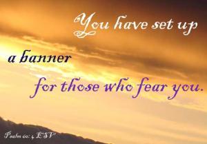 DSC06416Ps60-4_560x390