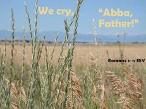 DSC06434Rom8-15_560x420