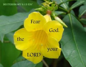 DSC06465Deut6-13_500x389